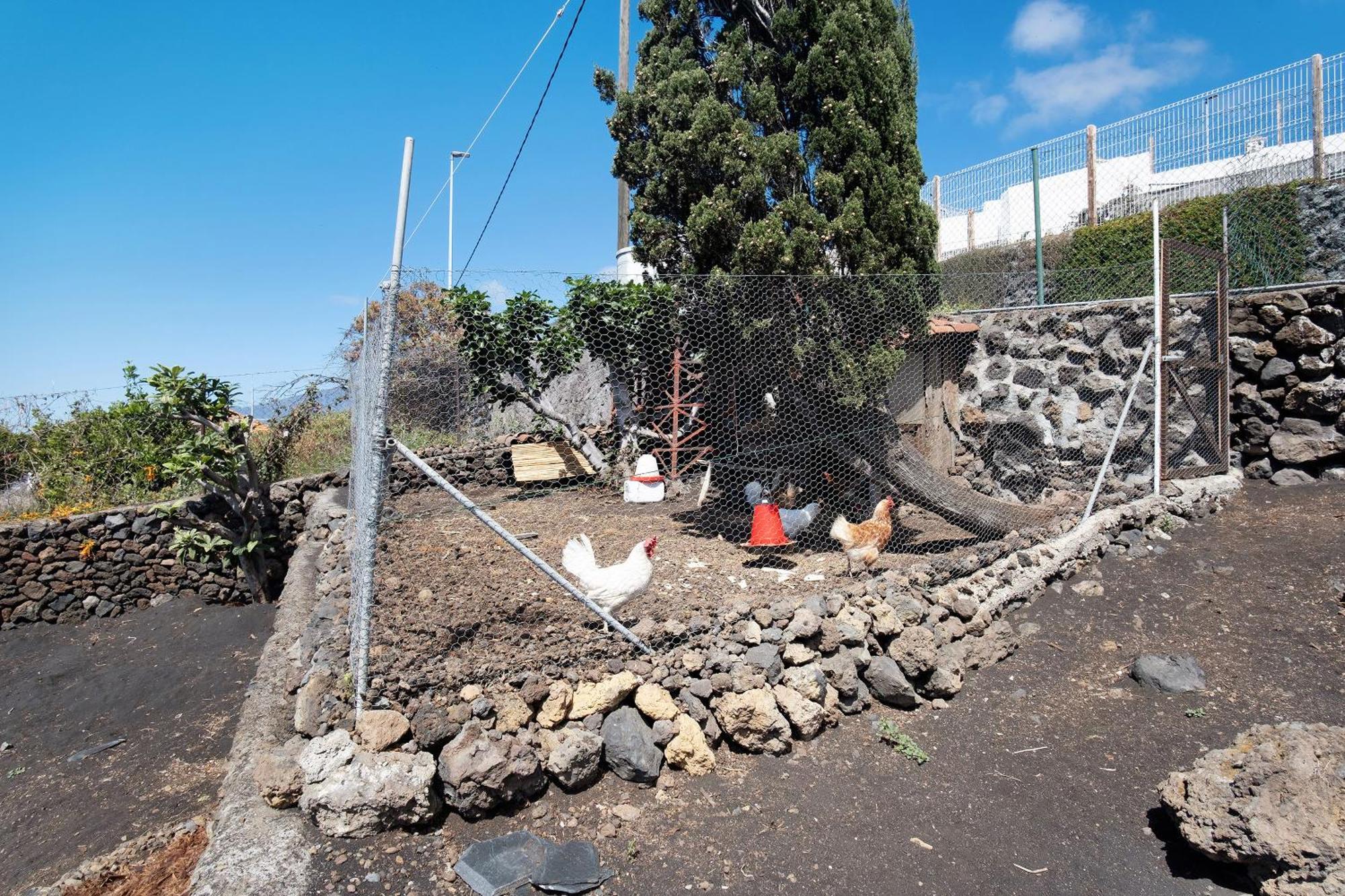 Casa La Podona- A Villa Jedey Kültér fotó