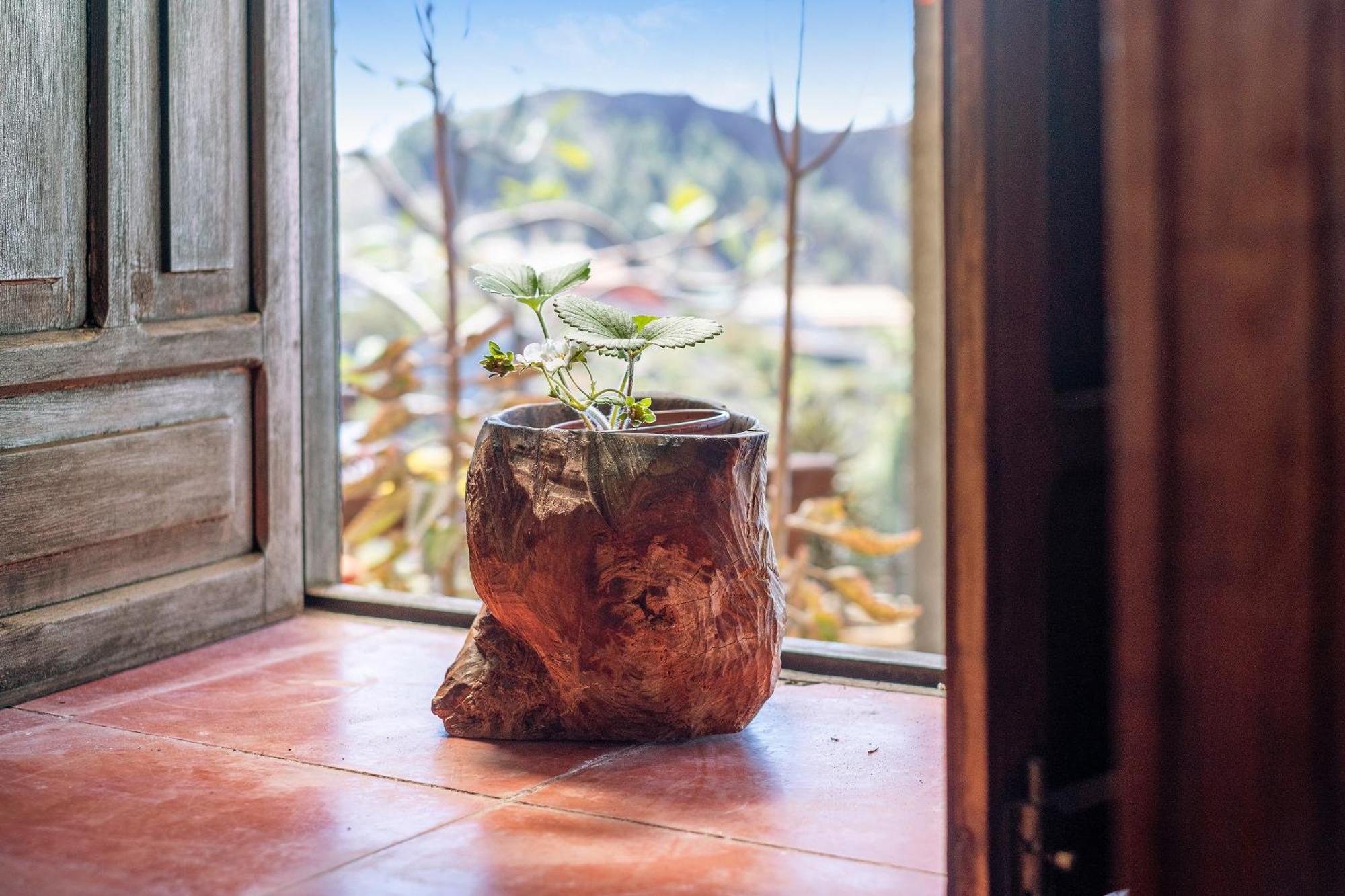 Casa La Podona- A Villa Jedey Kültér fotó